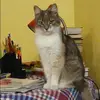 Отзыв от Алеся Орлова